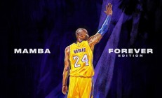 九游娱乐-绿茵场上的风暴与羽球场上的光芒，德国横扫日本，郑思维高光闪耀