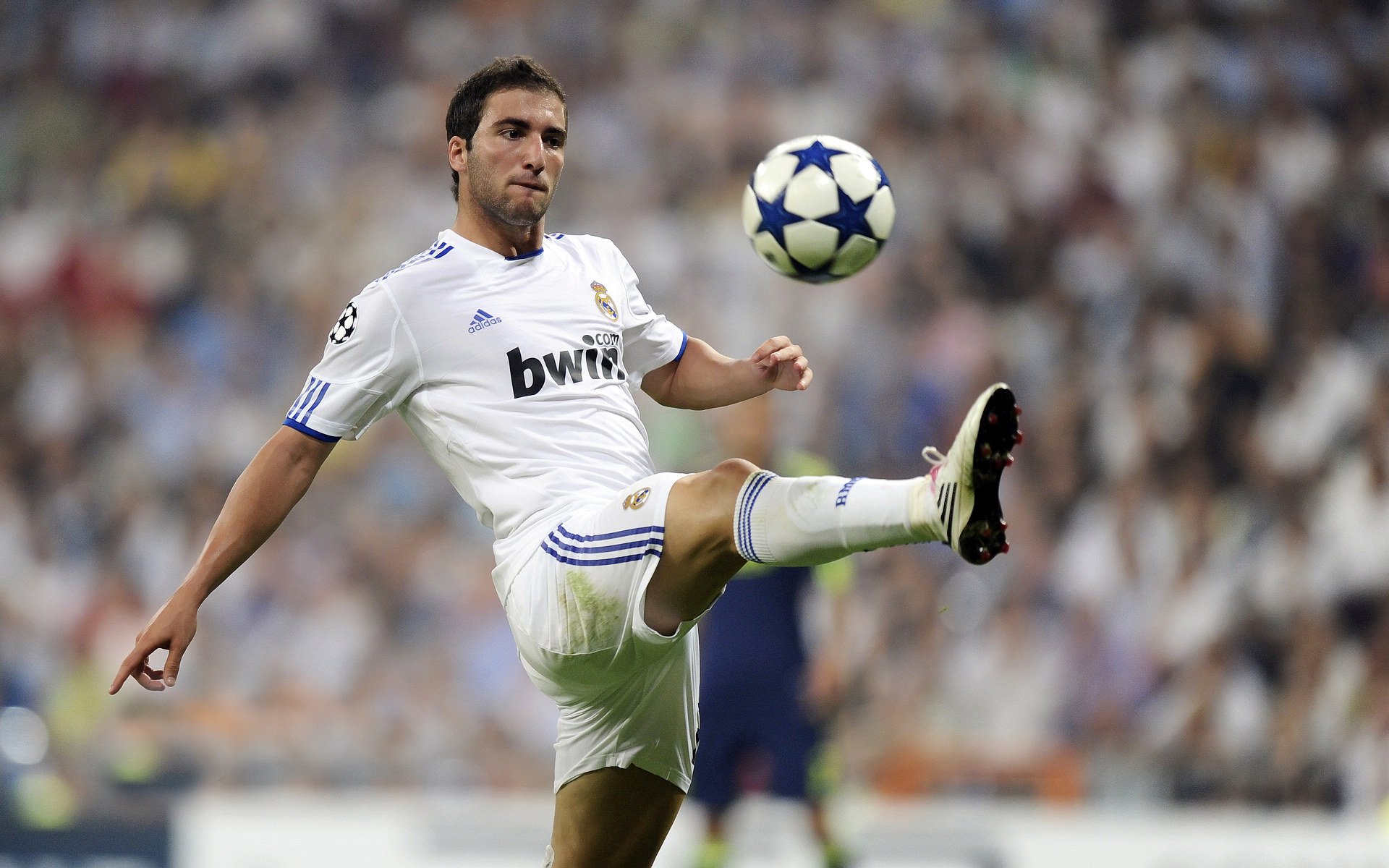 坎特完美掌控中场，美国强势晋级卡塔尔世界杯