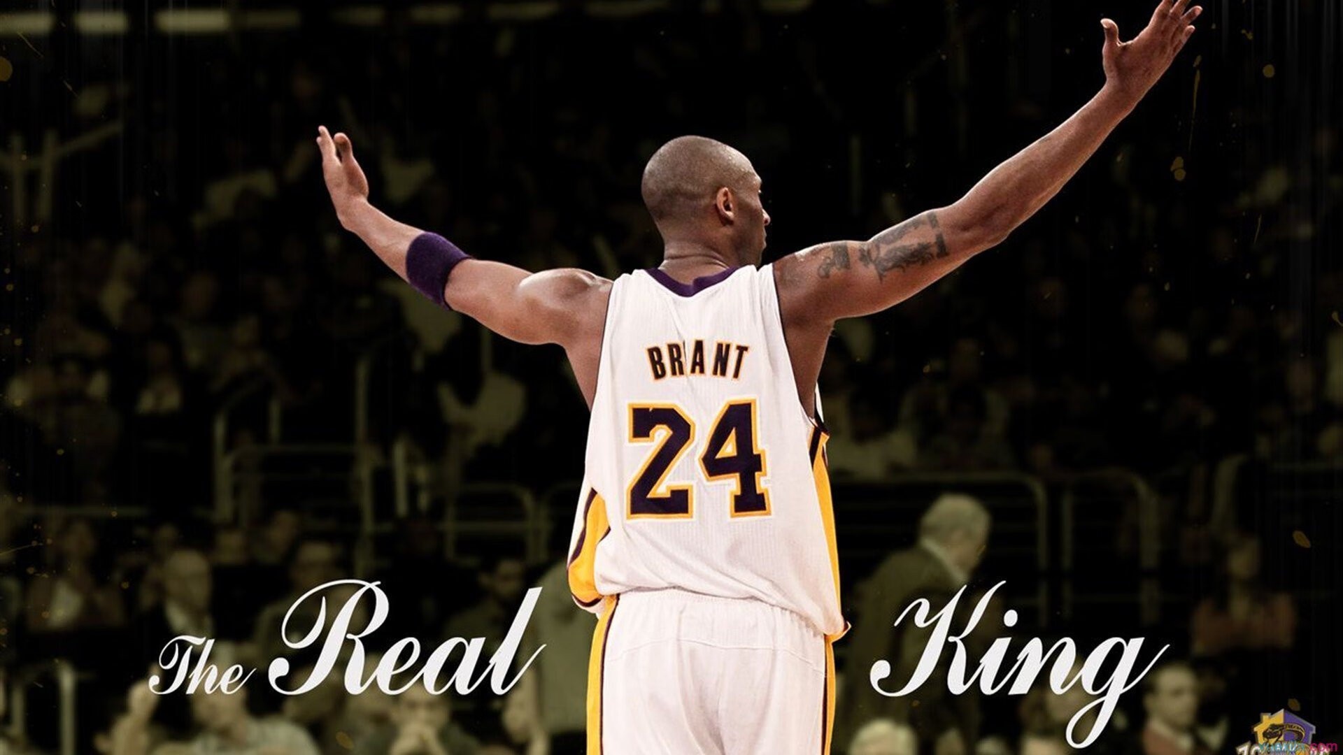 黄蜂强压公牛,贝恩关键战不手软—新星崛起与团队韧性的胜利